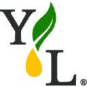 Young Living Essential Oils